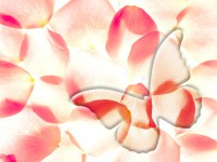 /album/photo-gallery-ljubov-i-romantika/love-and-romance-wallpapers-007-jpg/